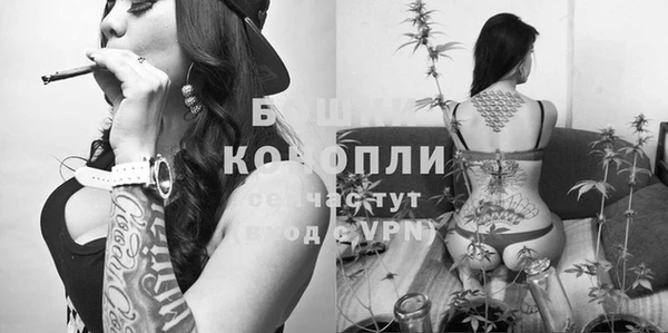 mix Мурманск