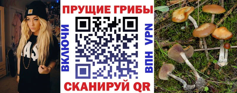 KRAKEN ONION магазин наркотиков Тихорецк Галлюциногенные грибы мухоморы