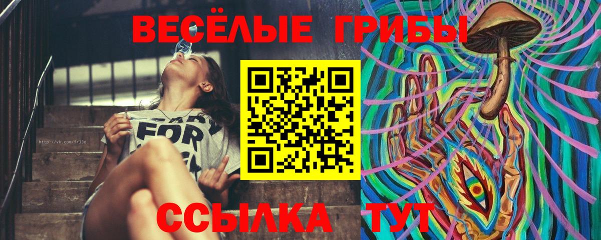 Галлюциногенные грибы прущие грибы  Вход с VPN  как найти наркотики  Тихорецк 